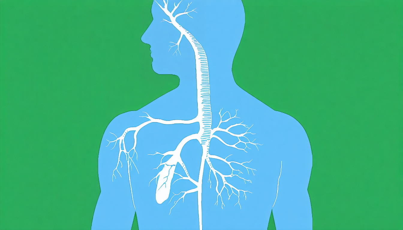 découvrez le rôle des ganglions sous l’aisselle et leur impact face à la fatigue et au stress. comprenez comment ils agissent et pourquoi ils sont importants pour votre santé.
